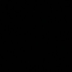 Meet your Posher, Tabitha